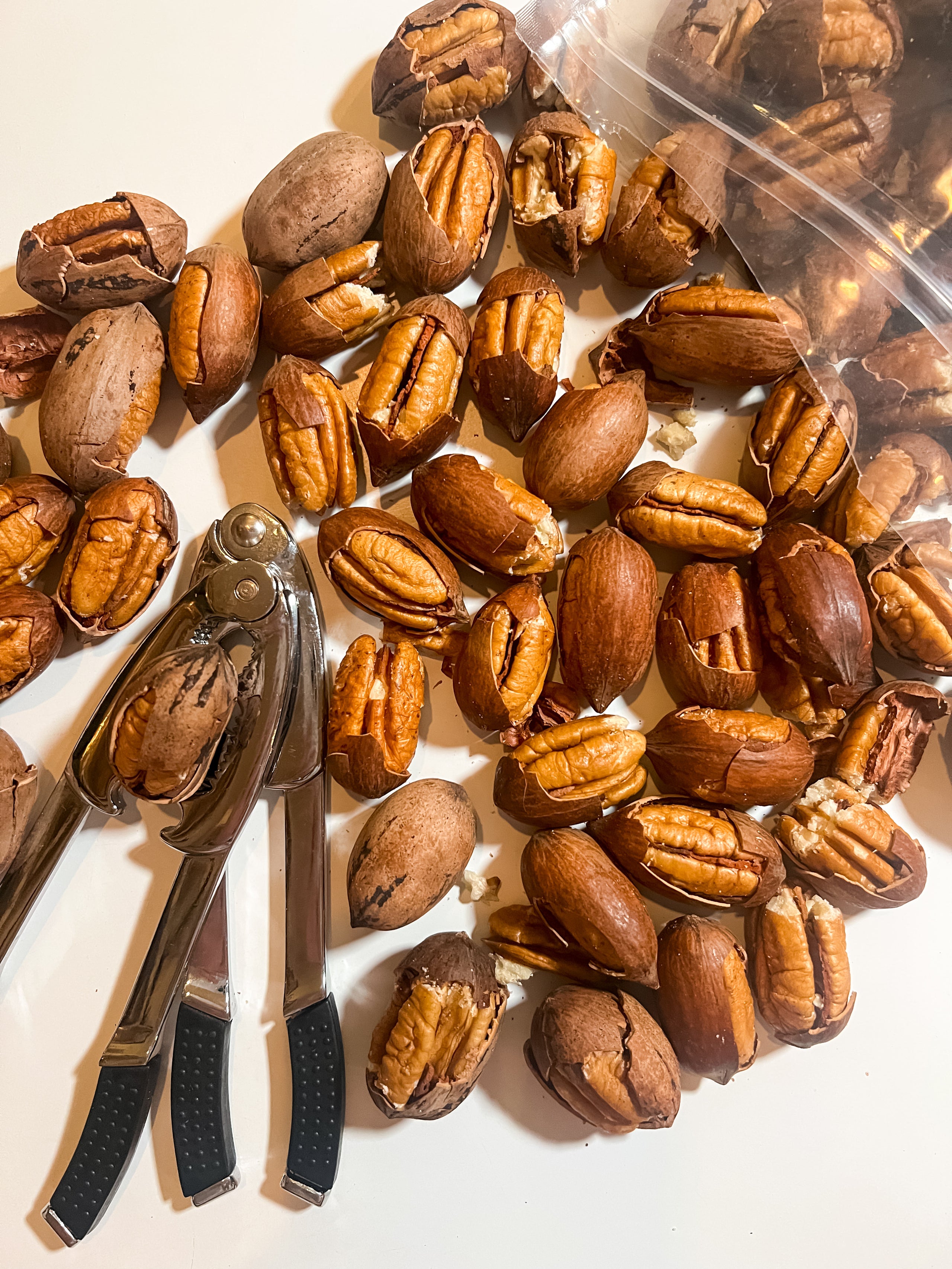 3 LB Cracked Pecans Southern Select Candy Co.